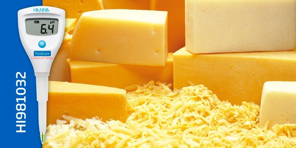 HI981032 queso 1|